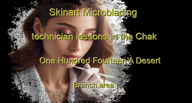 Skinart Microblading technician lessons in the Chak One Hundred Fourteen A Desert Branch area | MicrobladingTraining | MicrobladingClasses | SkinartTraining-Pakistan